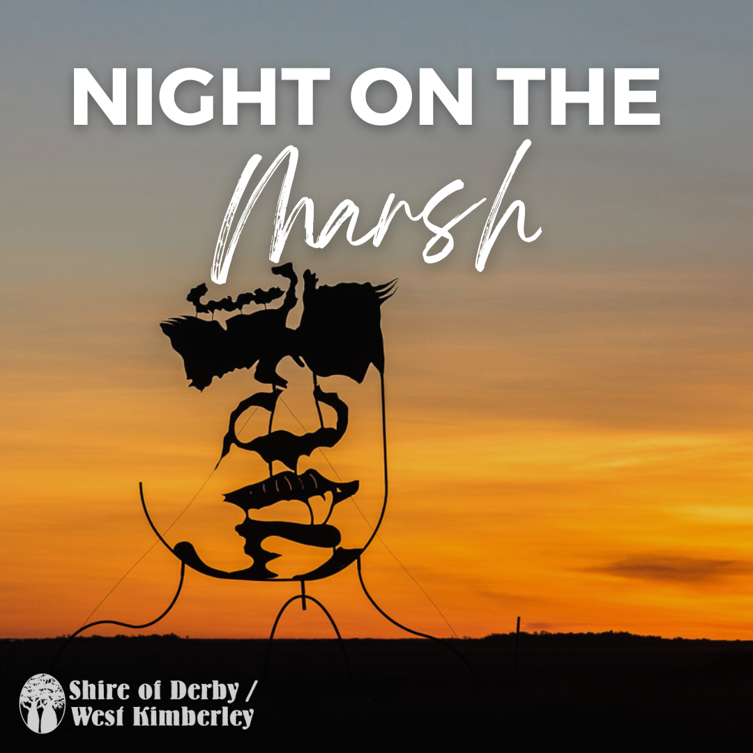 Night on the Marsh